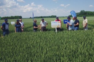 Radionica BASF-a: Revysol, Revycare i Systiva - zaštita u svim uvjetima proizvodnje