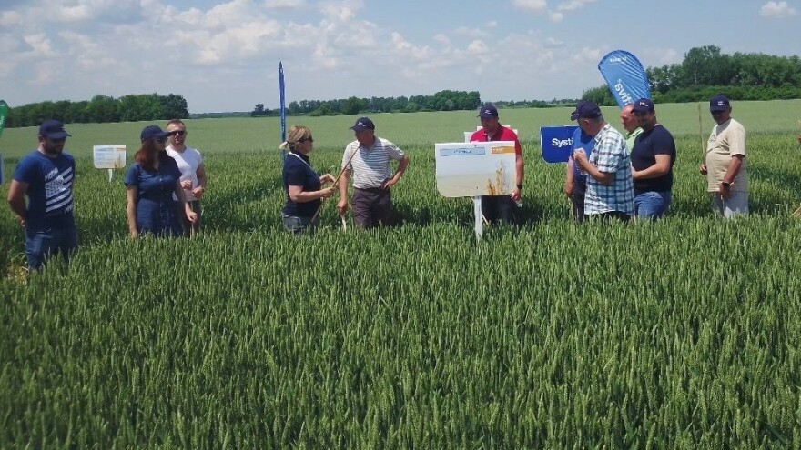 Radionica BASF-a: Revysol, Revycare i Systiva - zaštita u svim uvjetima proizvodnje