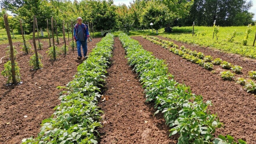 Organizacija posla i iznajmljivanje bašti kao u Švajcarskoj - moguće i kod nas?
