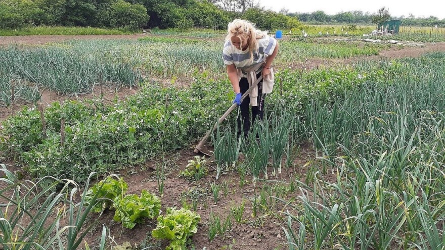 Bašta je kutak za odmor i značajna dopuna kućnom budžetu