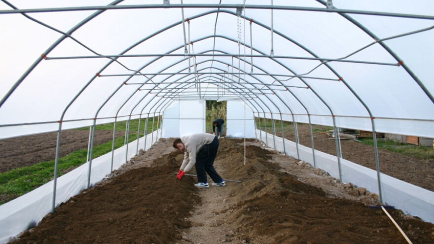 Željeli su zdravo povrće - danas ga sami sade
