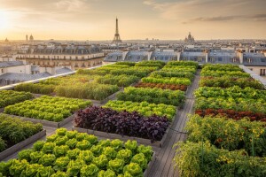 Baštom na krovu protiv klimatskih promjena