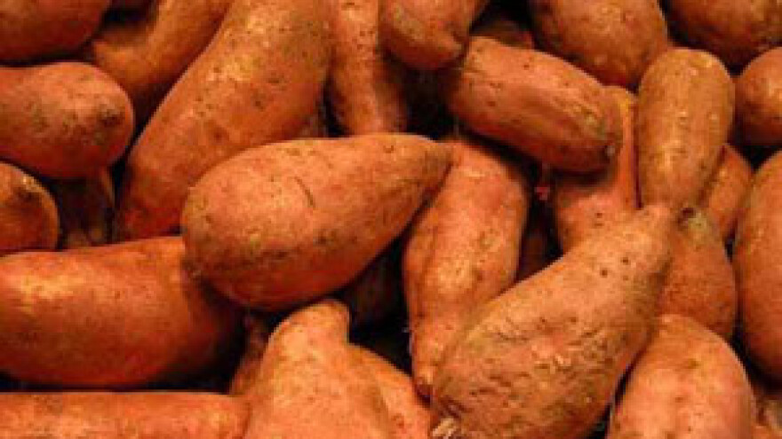 Batat - uzgoj i korist