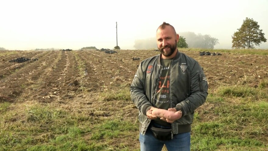Biofert Željka Markušića godišnje proizvede 400 tona batata - plan je doći do barem 800