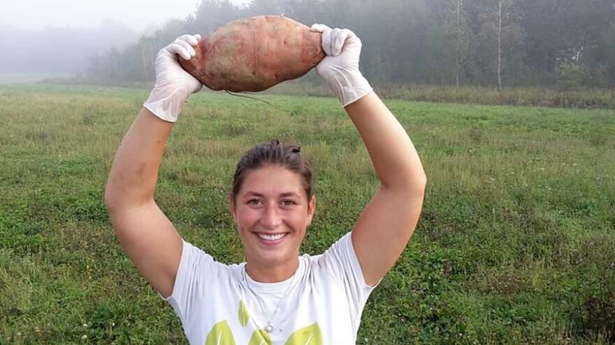 Bucko - batat težak više od dva kilograma!