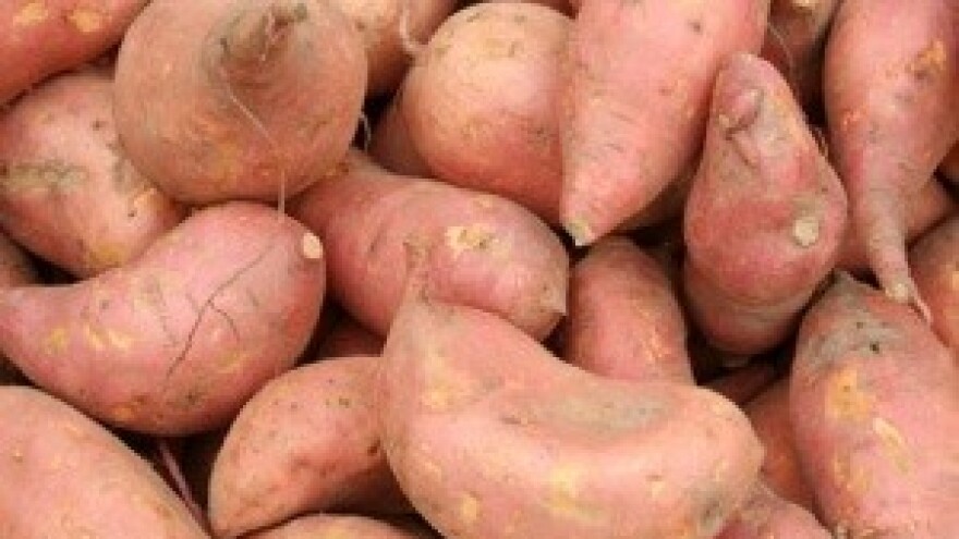 Ivan Šulog uspješan poljoprivrednik i bez poticaja