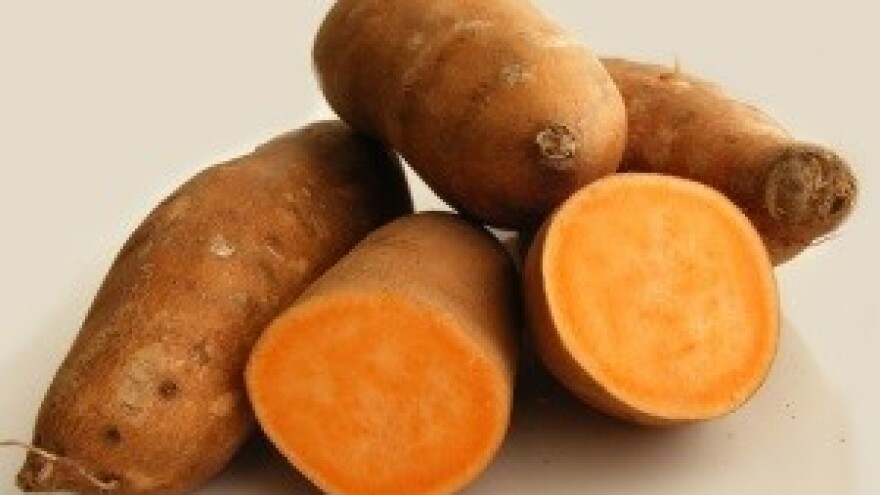 Kažu da se od zemlje da živjeti