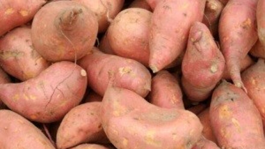 Sve je više proizvođača egzotičnog voća i povrća!