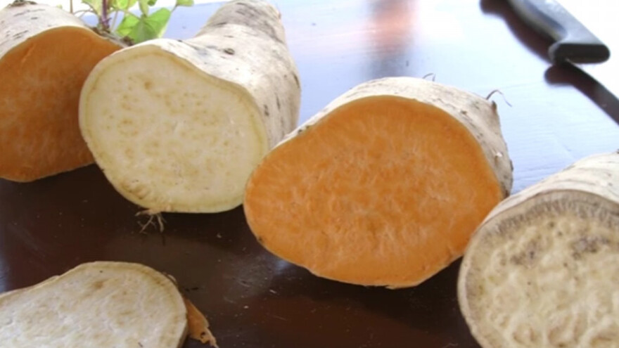 Batat sve traženiji u Srbiji