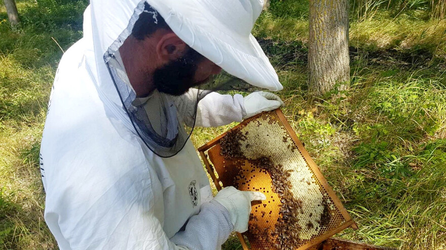 Različita testiranja na varou i važnost suzbijanja po prestanku legla