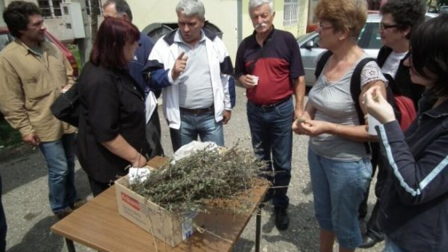 Za lekovito bilje plasman zagarantovan!