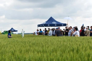 Agrofest 2023: Ratari doznali gdje griješe u zaštiti pšenice