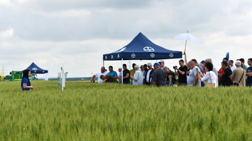 Agrofest 2023: Ratari doznali gdje griješe u zaštiti pšenice