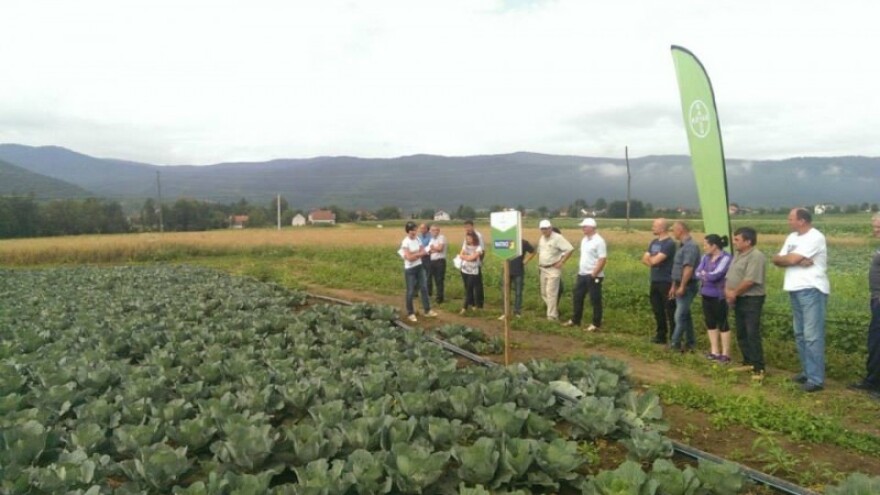 Bayer Dani povrća i Dani ličkog krumpira!