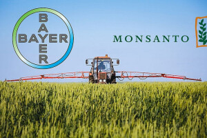 Monsanto prodan Bayeru - kontrola 25% tržišta!