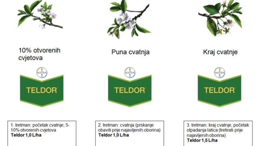Palež cvjetova i rodnih grančica koštićavih voćaka