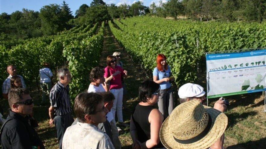 Bayerovi dani vinograda u Oriovcu