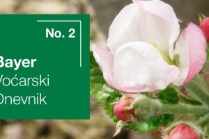 Bayer voćarski dnevnik No. 2 - obavijest proizvođačima jabuke i kruške
