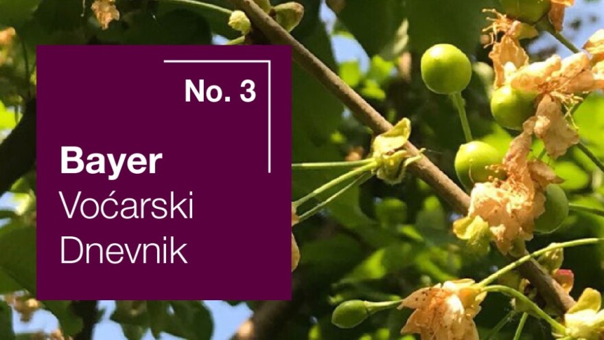 Bayer voćarski dnevnik No. 3 - obavijest proizvođačima trešnje i višnje