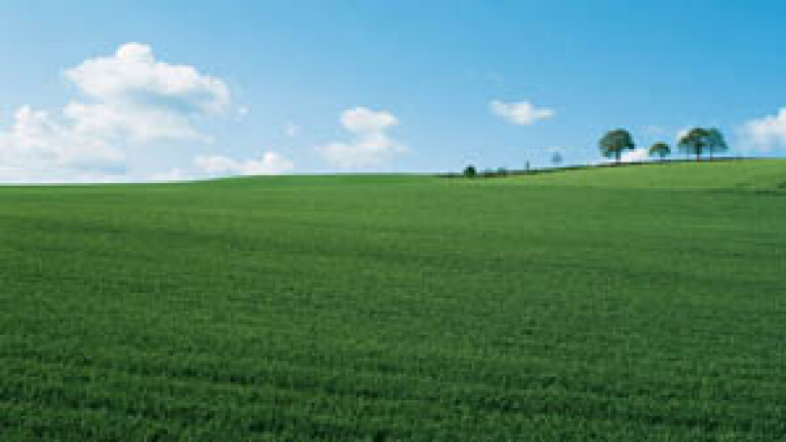 Vrijeme je zaštite žitarica, odaberite kvalitetu i sigurnost