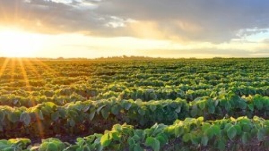 100 godina inovacija u tretiranju sjemena