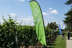 Bayer CropScience održao "Dane vinograda"