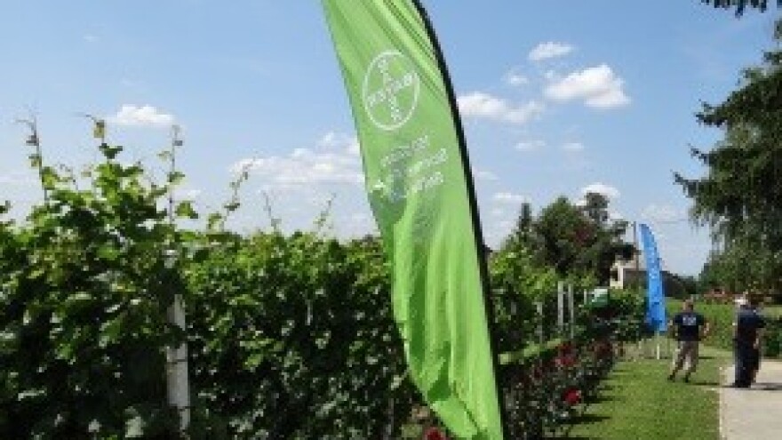 Bayer CropScience održao "Dane vinograda"