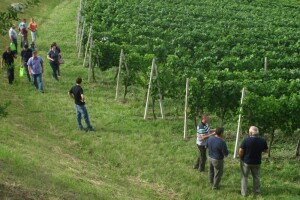 Bayer Dani vinograda obišli Lijepu našu!