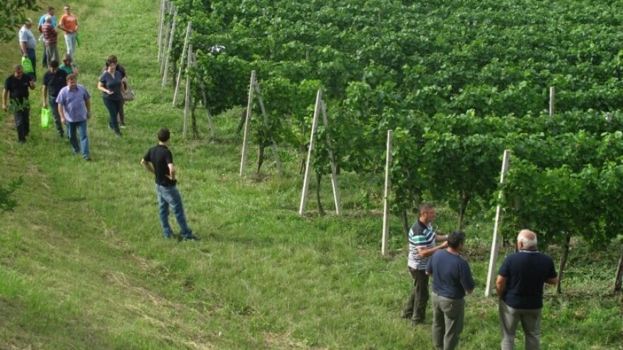 Bayer Dani vinograda obišli Lijepu našu!