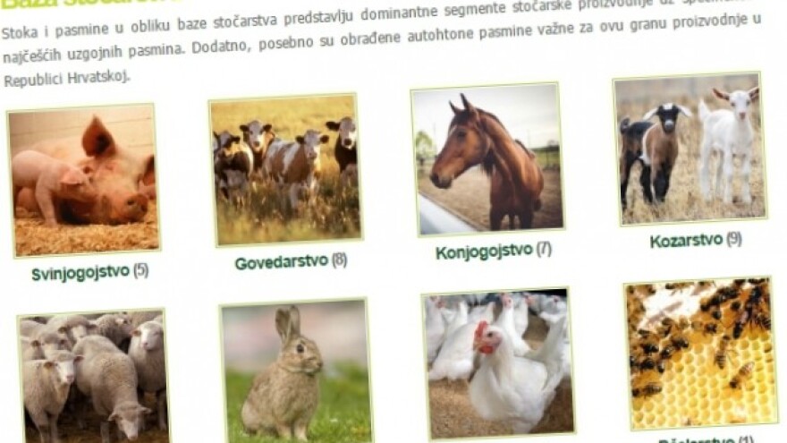 Baza stočarstva - novi Agroklub servis