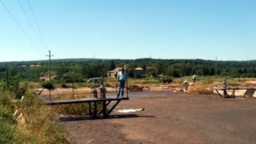 Pomor ribe u Boljunčici - zbog sabotaže?