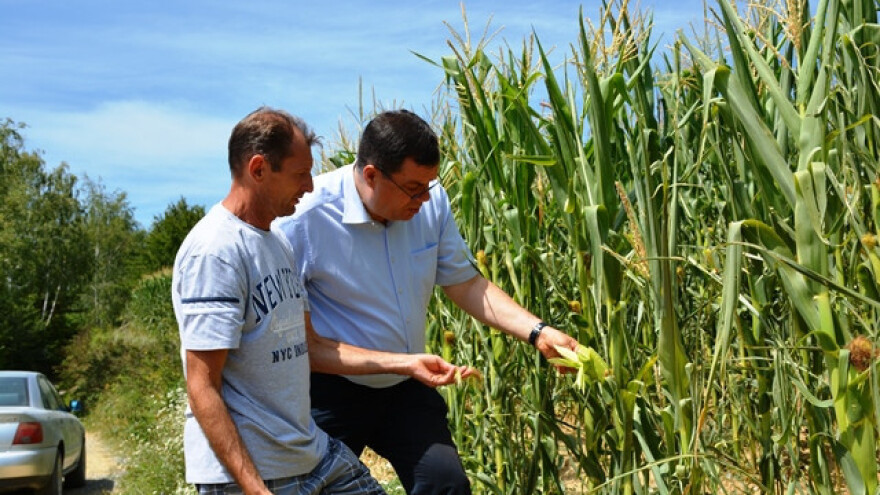 Elementarna nepogoda od tuče za Općinu Đulovac