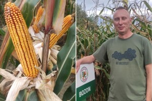 Bc Institut predstavio hibride budućnosti: FAO 300 i 400 u fokusu