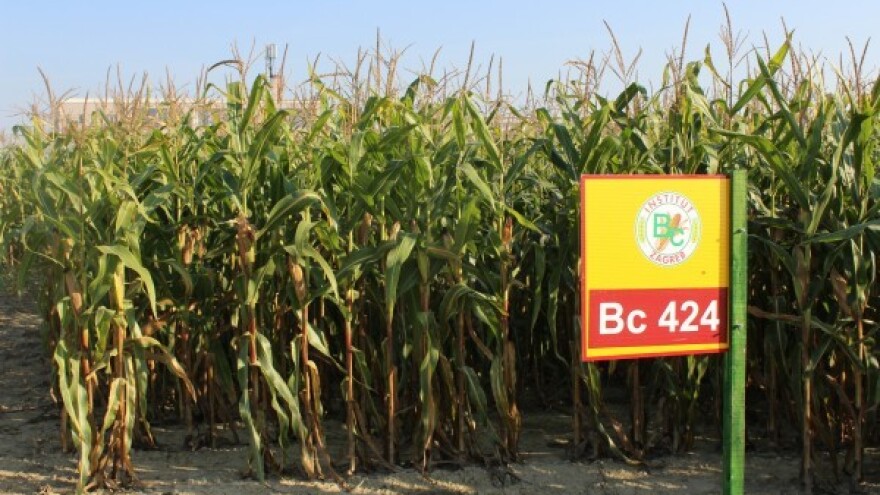 Ugrabite kvalitetne zubane po akcijskim cijenama!