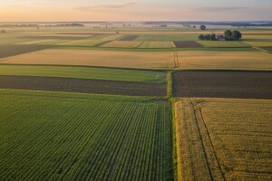 Bc Agroslavonija d.o.o.