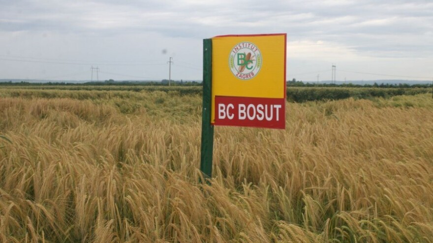 Rekordan prinos ječma od 8,6 t