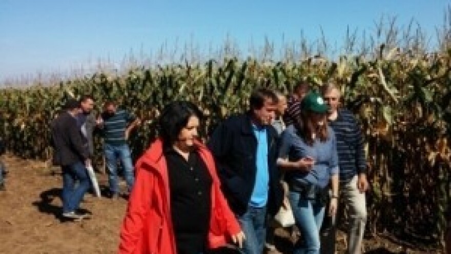 BC hibridi prkose vremenskim nepogodama