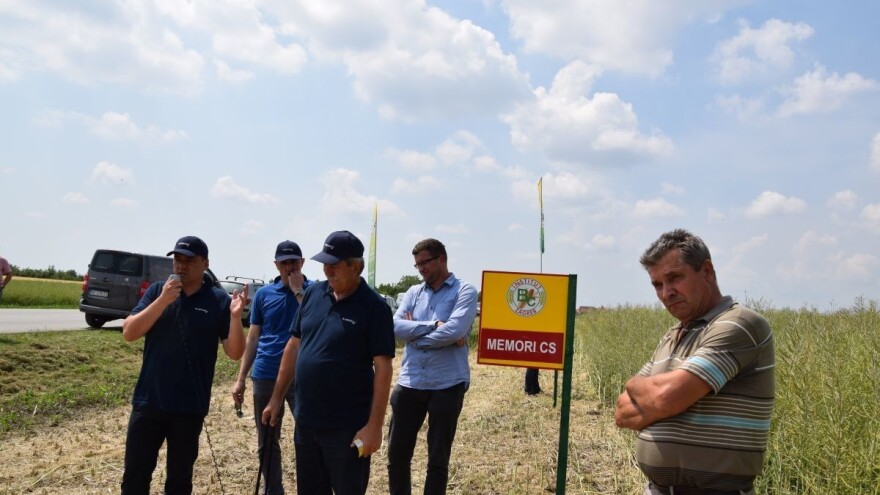 Prepoznatljivi su po kukuruzu, no Bc Institut ima adute i kada je uljana repica u pitanju!