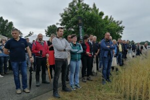 Dan polja Bc Instituta: Bogatoj paleti vrhunskih pšenica dodana sorta BC Mistika