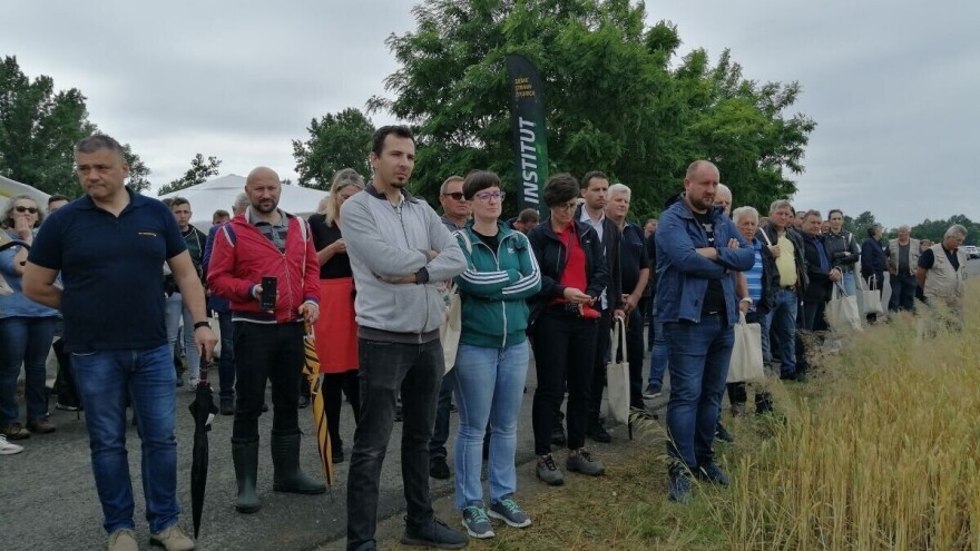 Dan polja Bc Instituta: Bogatoj paleti vrhunskih pšenica dodana sorta BC Mistika