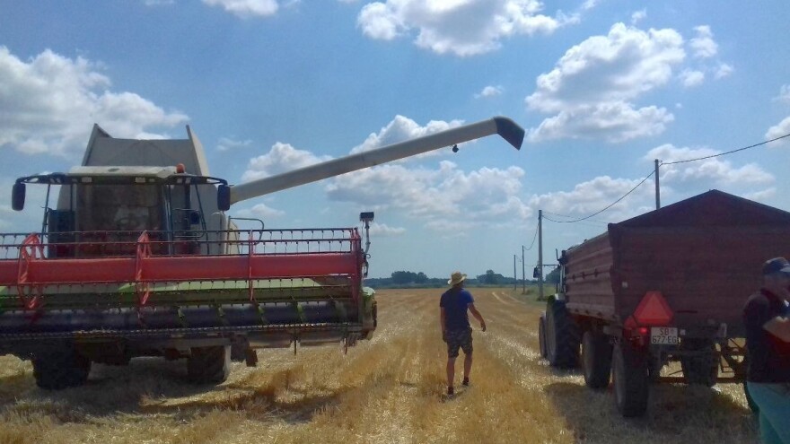Rekordnim rezultatima vratili primat: sorte strnih žitarica Bc Instituta iznad 10t/ha