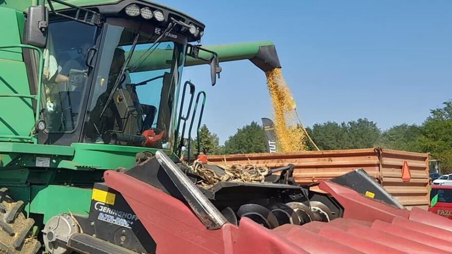 U teškoj godini za kukuruz BC hibridi nisu iznevjerili - imamo rezultate vaganja