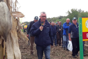 Unatoč suši prinos BC 323 hibrida 10,8 t/ha kukuruza!