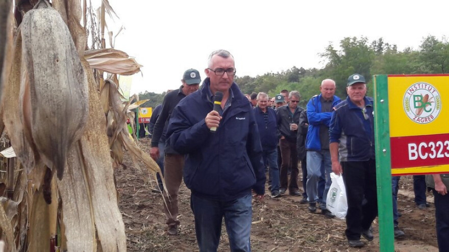 Unatoč suši prinos BC 323 hibrida 10,8 t/ha kukuruza!