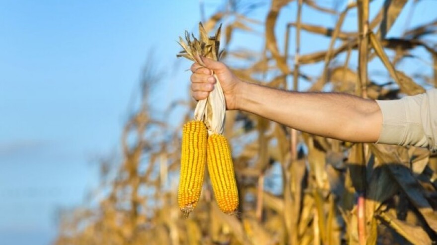 Dmitar Šormaz ima najprinosniji i najuredniji pokus