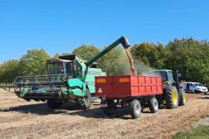 Bc soja Amma rušila rekorde - vaga pokazala 5.720 kg/ha