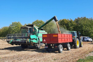 Bc soja Amma rušila rekorde - vaga pokazala 5.720 kg/ha