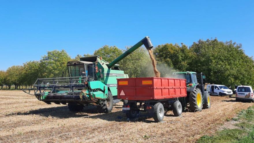 Bc soja Amma rušila rekorde - vaga pokazala 5.720 kg/ha