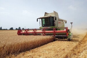 Otuđeno 35 tona pšenice u zrnu, nepoznati počinitelj ušao kombajnom i ovršio