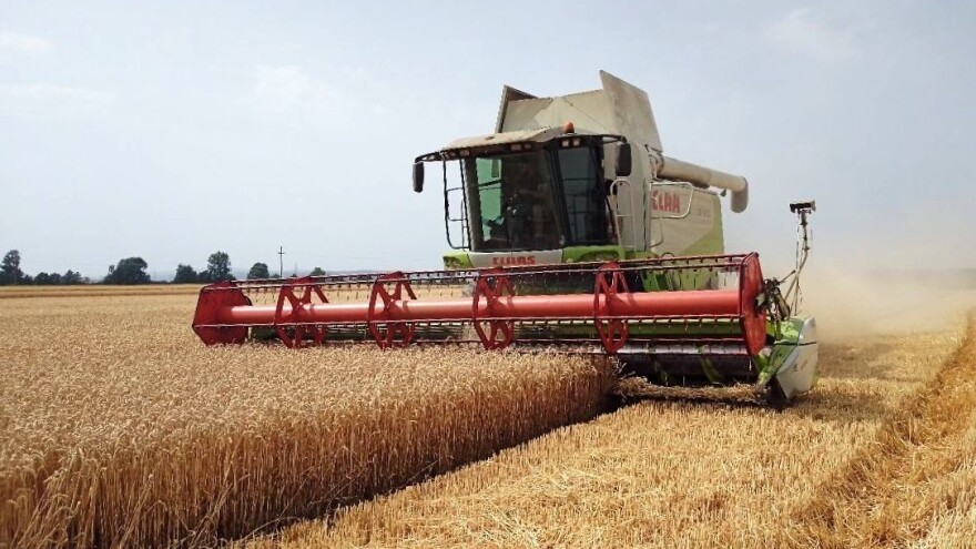 Otuđeno 35 tona pšenice u zrnu, nepoznati počinitelj ušao kombajnom i ovršio